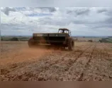 Chuvas recentes amenizam perdas no milho , e trigo terá área reduzida