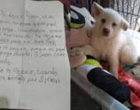 Garoto deixa filhote em abrigo para salvar cão de maus-tratos do pai