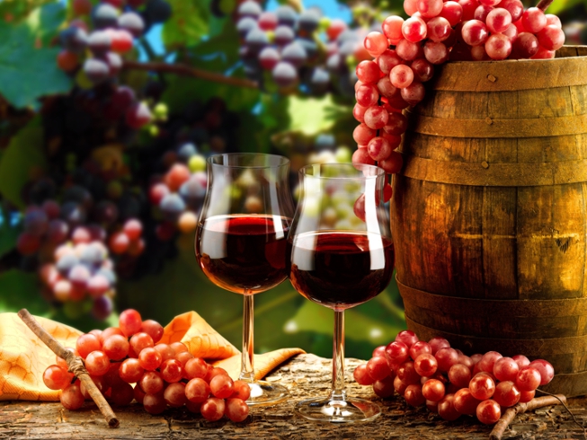 Entenda como a região onde a uva é cultivada influencia no sabor do vinho