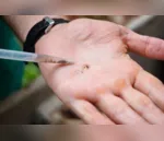 Kaloré é primeiro município da região em epidemia de dengue