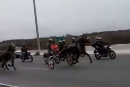 Polícia investiga 'corrida de cavalos' em rodovia do Paraná