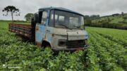Caminhão roubado em Apucarana é encontrado em plantação