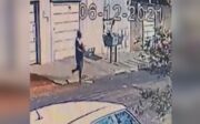 Homem foi filmado por câmera de segurança levando cachorra morta para mato baldio, em Goiânia, Goiás