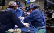 Paciente que recebeu coração de porco em transplante morre