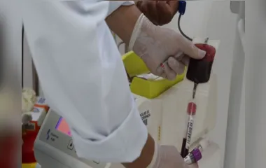 Arapongas reforça sobre doações mensais de sangue