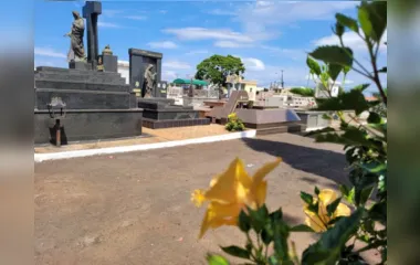 Veja a lista de sepultamentos desta sexta-feira de Apucarana e região