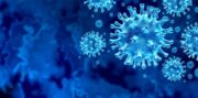 O País registrou 246 novas mortes pelo coronavírus nas últimas 24 horas