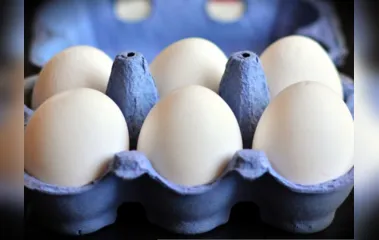 Alta nos insumos: preço dos ovos aumenta até 35% em Apucarana