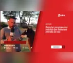 Repórter de Paraná é mordido por lhama em entrada ao vivo