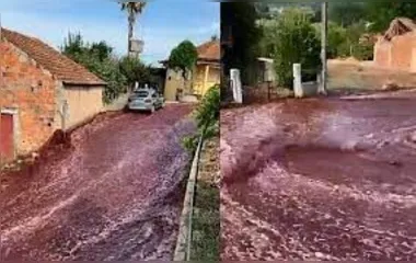 O "rio" de vinho se formou após depósitos estourarem