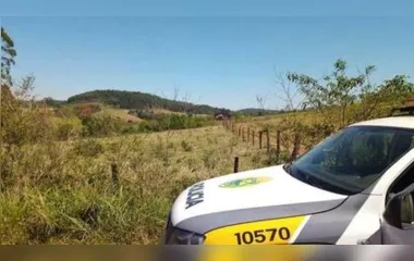Os furtos aconteceram na Fazenda Rio Ligeiro e no Sitio Solotécnica