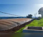Uso de energia renovável em áreas rurais no Oeste do Paraná vira exemplo internacional