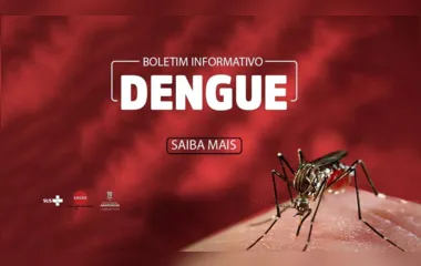 Boletim da Dengue: Arapongas chega a 182 casos confirmados da doença