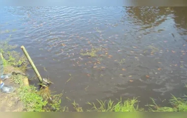 Cerca de 500 quilos de peixes são furtados de represa em Lidianópolis