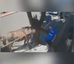 Câmera de segurança flagrou mordida de burro em vereador