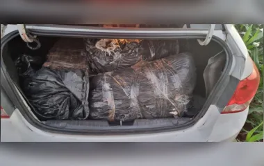 Polícia Federal apreende 400 kg de maconha e skunk em Paiçandu