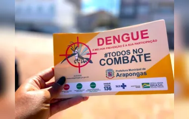 Boletim Epidemiológico da dengue registra 879 casos em Arapongas