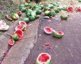 Mulher morre em acidente provocado por melancia